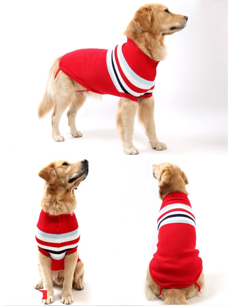 Pets.Love.Earth Sweater Red