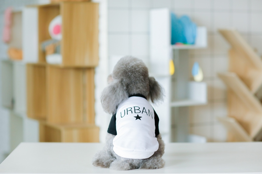 نصف كم أسود من بت لوف إيرث