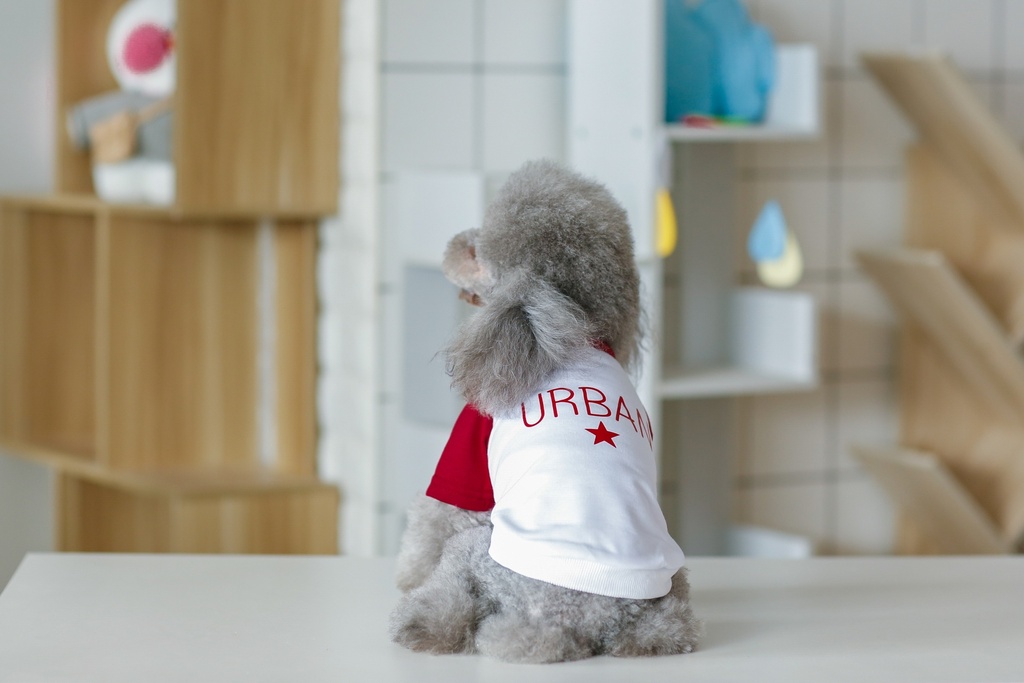 نصف كم أحمر من بت لوف إيرث