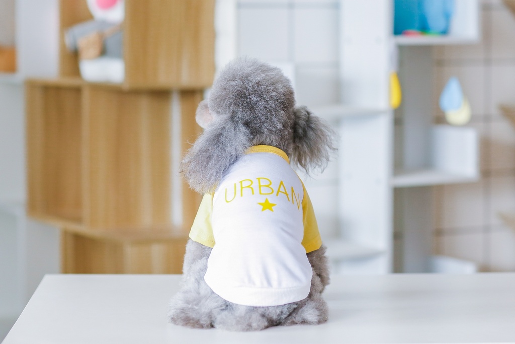 نصف كم أصفر من بت لوف إيرث