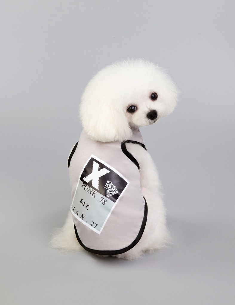 Pets.Love.Earth X Punk Tank-Top Grey