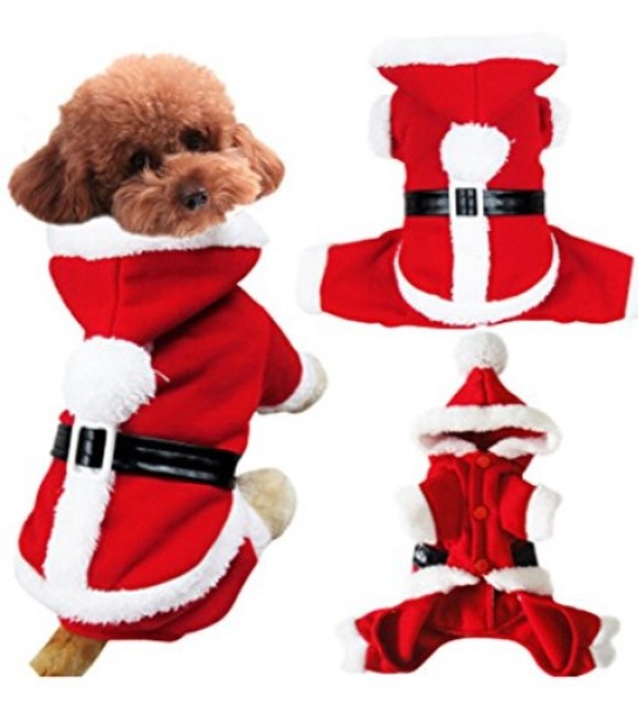 زي سانتا من Pets.Love.Earth - مقاسات XS، S، M، L، XL