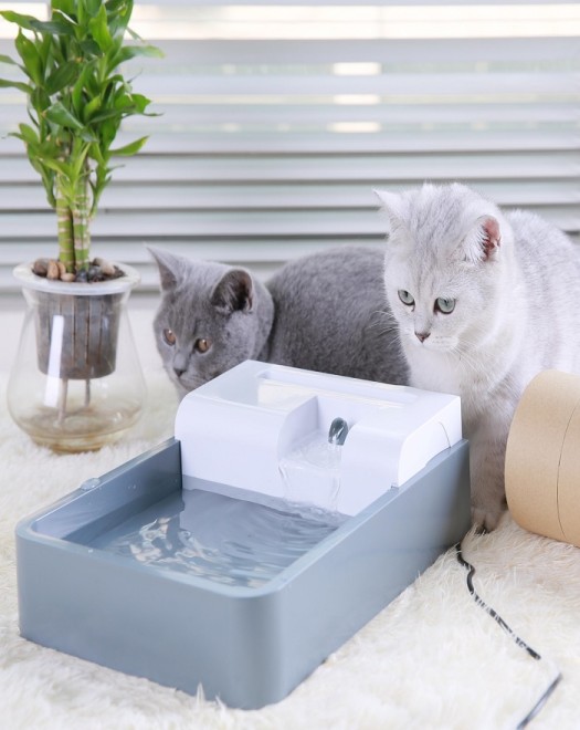 Pioneer Pet Drinking Fountain with Grass with USB Plug Power Cord 72oz