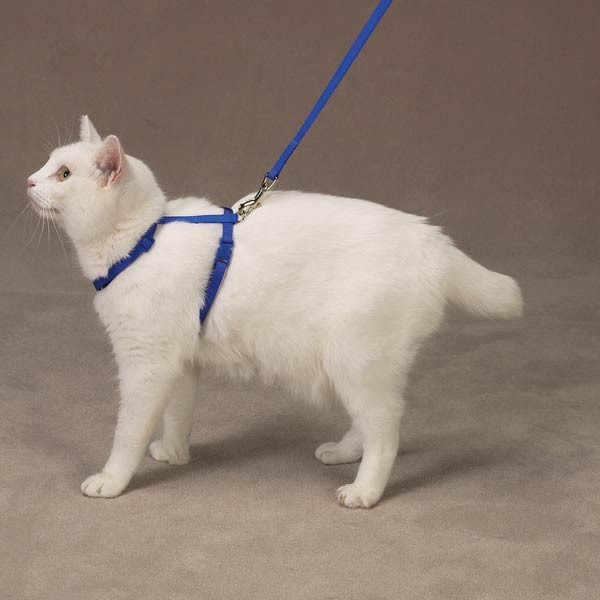 Savvy Tabby Nylon Cat Harness, 3/8-Inch, Nautical Blue