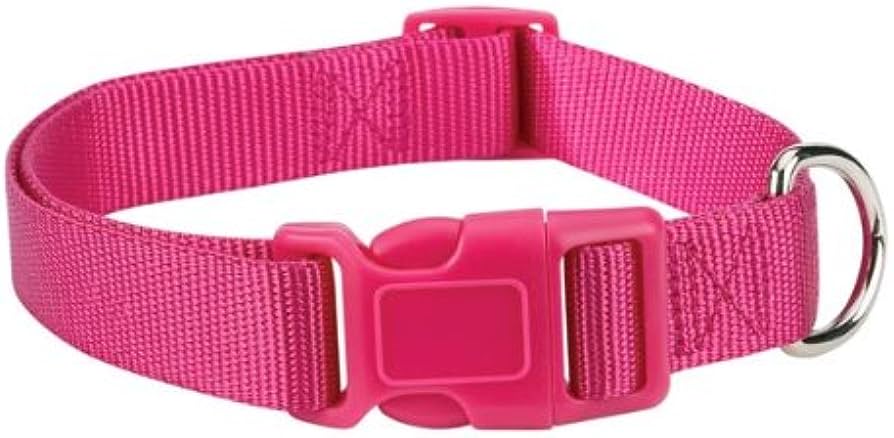 Zack & Zoey Nylon Collar 10-16 In Raspberry Sorbet