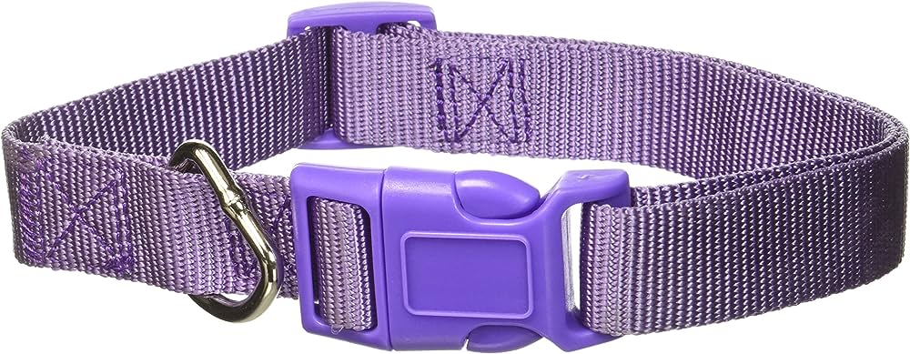Zack & Zoey Nylon Collar 14-20 In Ultra Violet