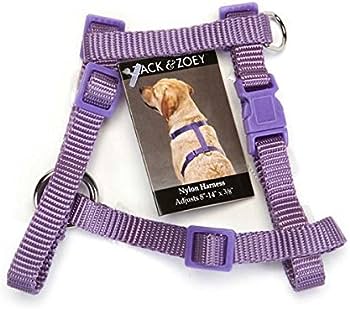 Zack & Zoey Nylon Harness 8-14 In Ultra Violet