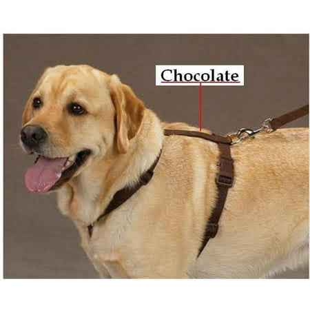 Zack & Zoey Nylon Harness 8-14In Chocolate Brown