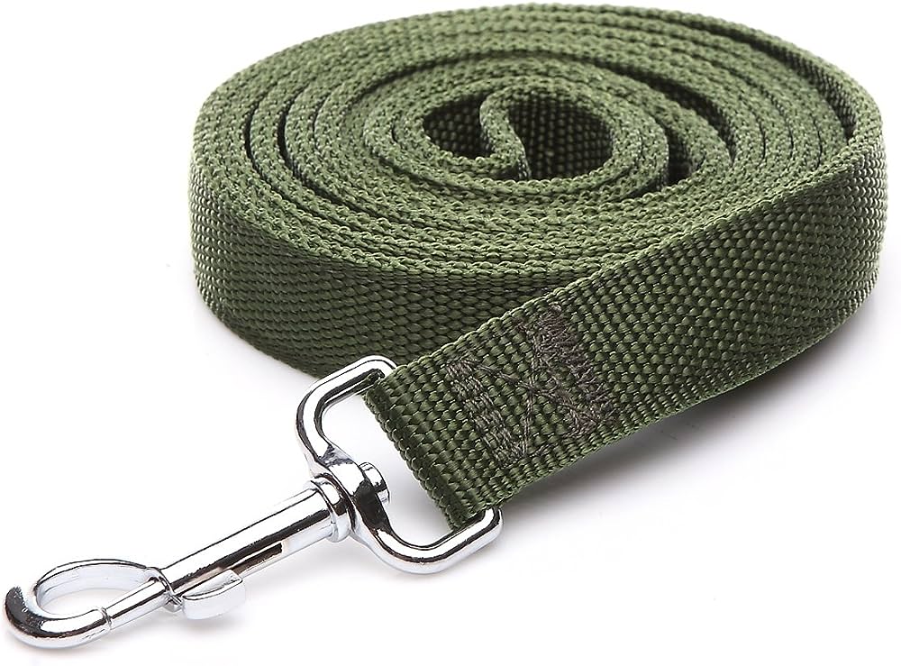 Zack & Zoey Nylon Lead 6 Ft x 1 In Parrot Green