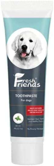 Fresh Friends Dog Toothpaste - Mint Flavor 90g 