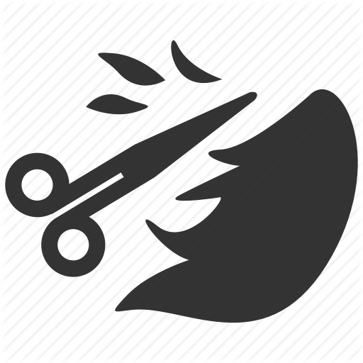 Professional Scissor Finish