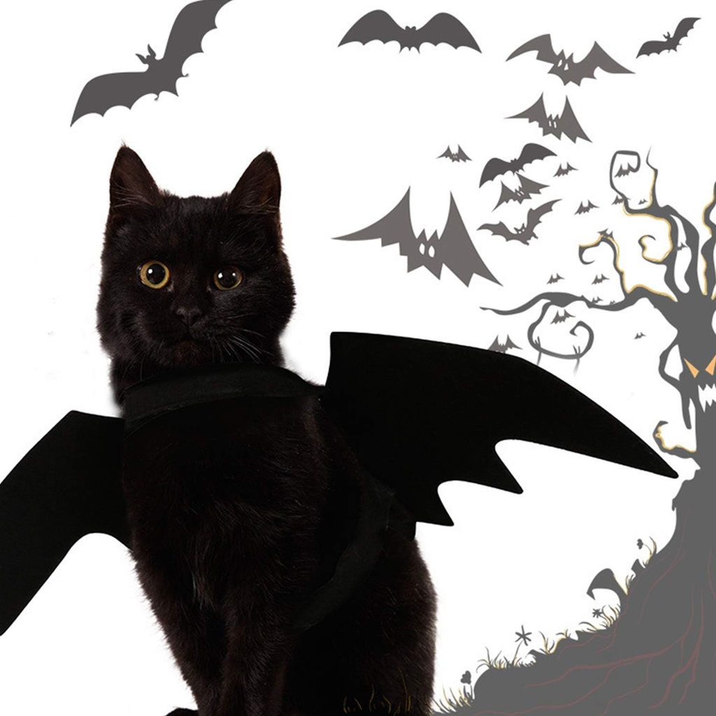 Pets.Love.Earth Halloween Bat Costume 