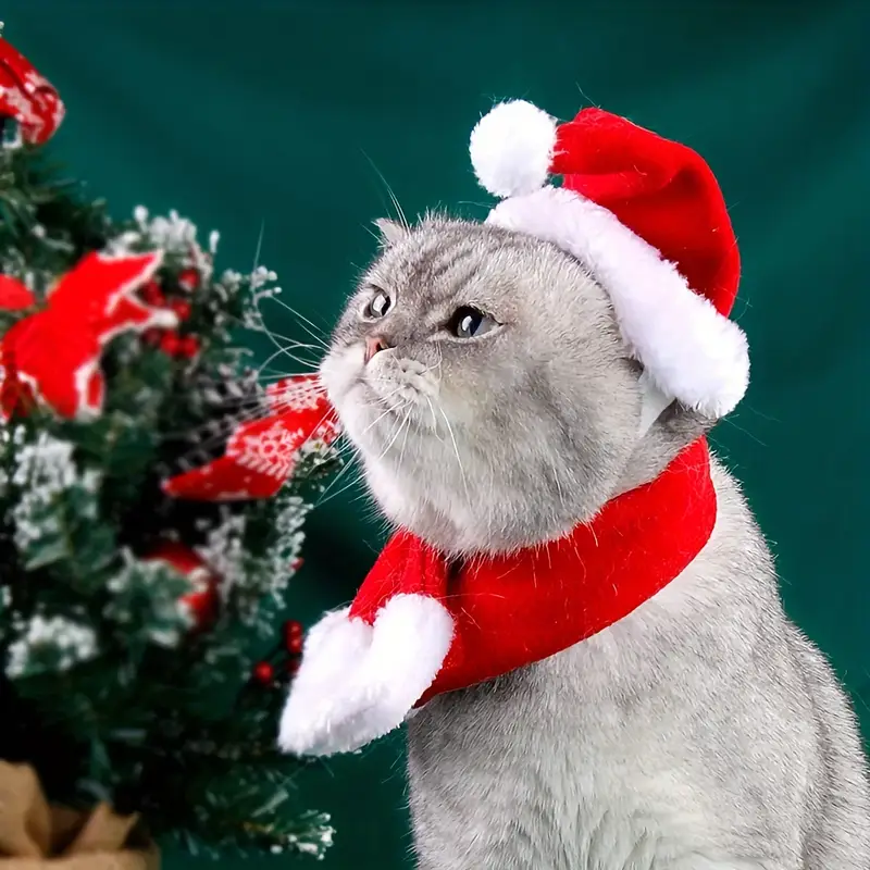 Pets.Love.Earth Christmas Hat & Scarf Set