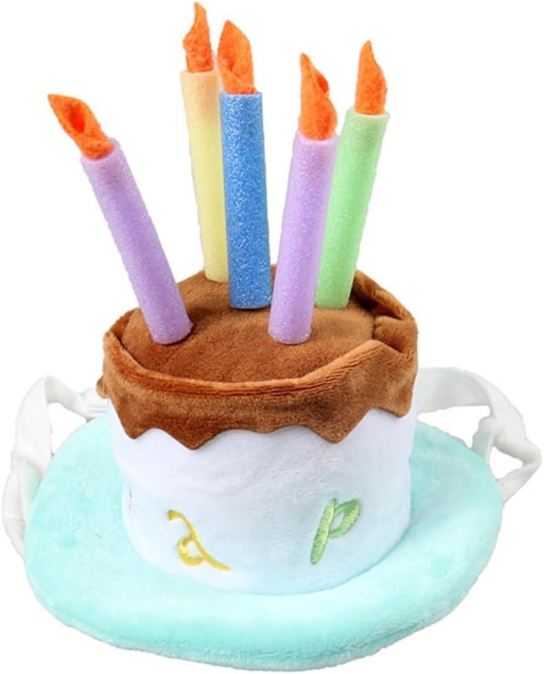 Pets.Love.Earth Birthday Cake Top Hat 