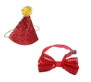 Pets.Love.Earth Party Hat & Bowtie Set 