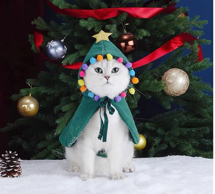 Pets.Love.Earth  Christmas Cape green - 25 x 23 cm 