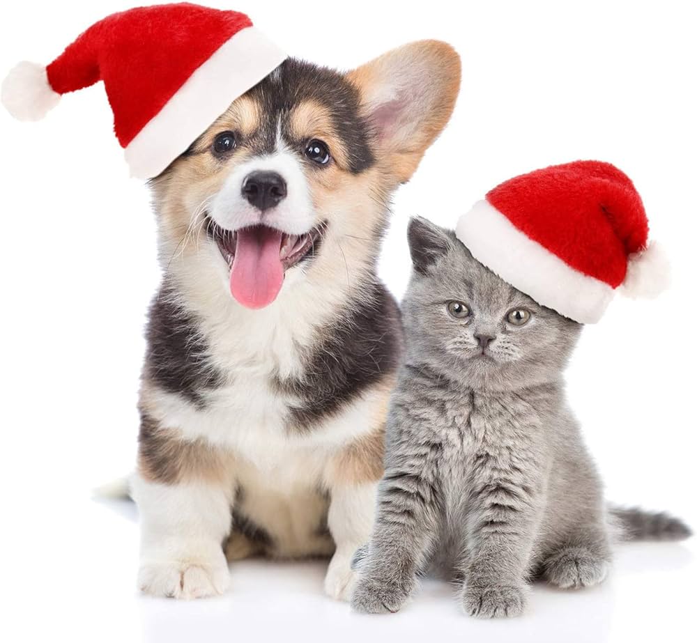 Pets.Love.Earth Pet Christmas Hat 