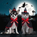 Pets.Love.Earth Witch Cape & Wizard Hat - Halloween 2-Piece Set 