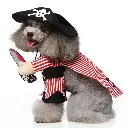 Pets.Love.Earth Vivid Pirate Suit (With Hat) 
