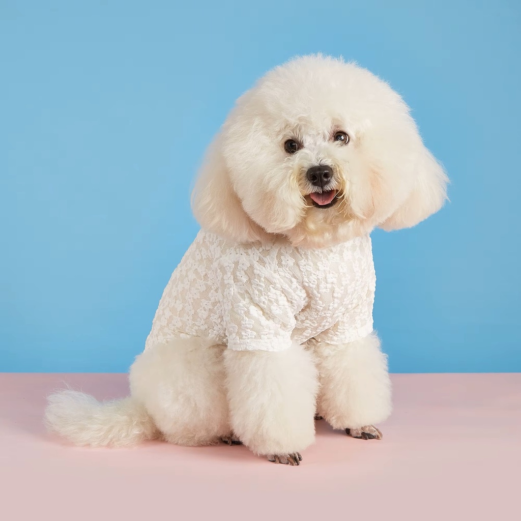Pets.Love.Earth see-through Tee - White 