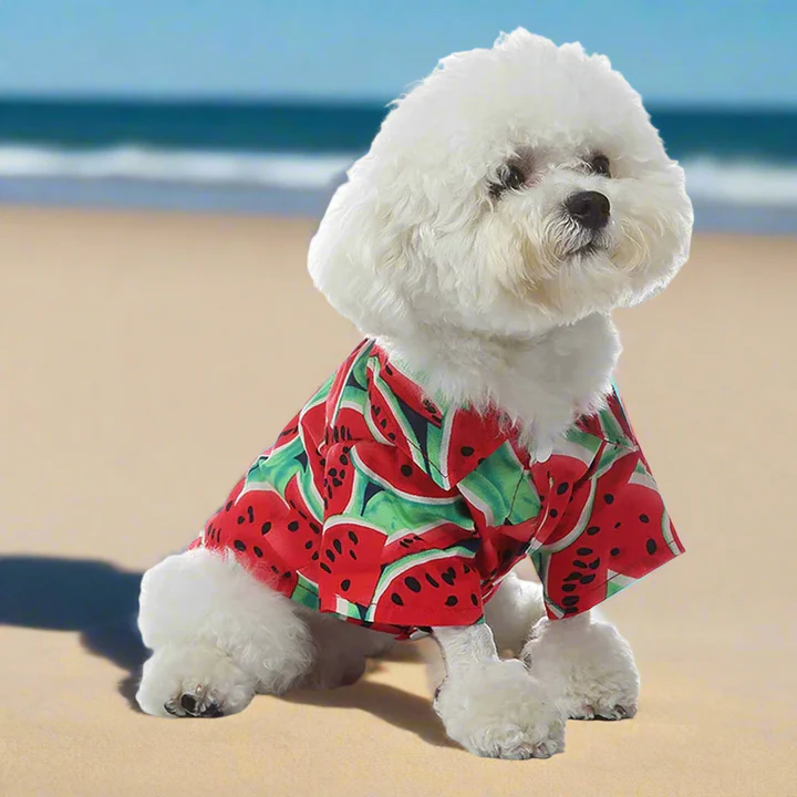 Pets.Love.Earth Hawaiian Summer Shirt  - Watermelon 