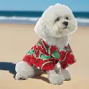 Pets.Love.Earth Hawaiian Summer Shirt  - Watermelon 