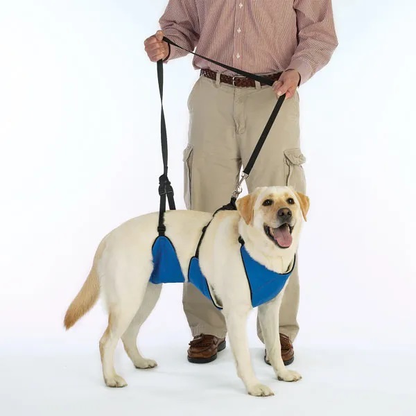Guardian Gear Lift & Lead 4in1 Blue