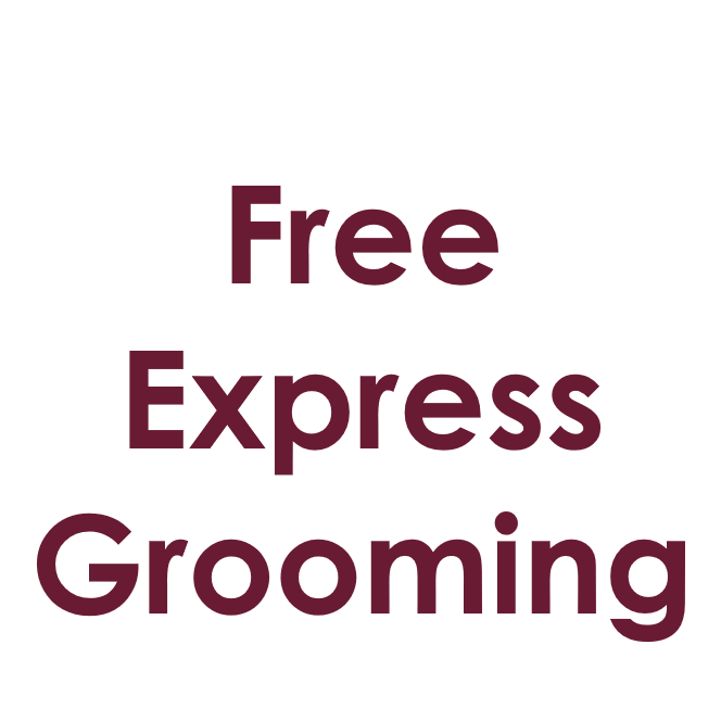 Free Product - Package - Express Grooming