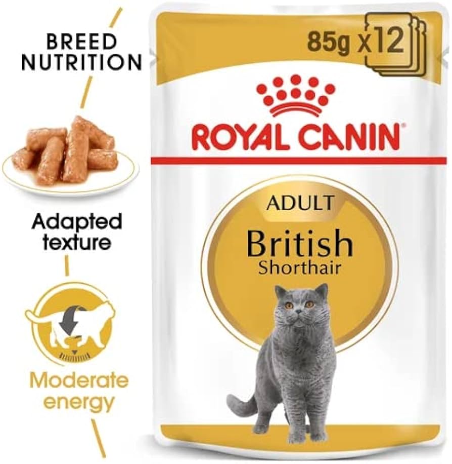 Royal Canin Feline British Shorthair Gravy Formula For Adult Cat – 85g