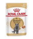 Royal Canin Feline British Shorthair Gravy Formula For Adult Cat – 85g