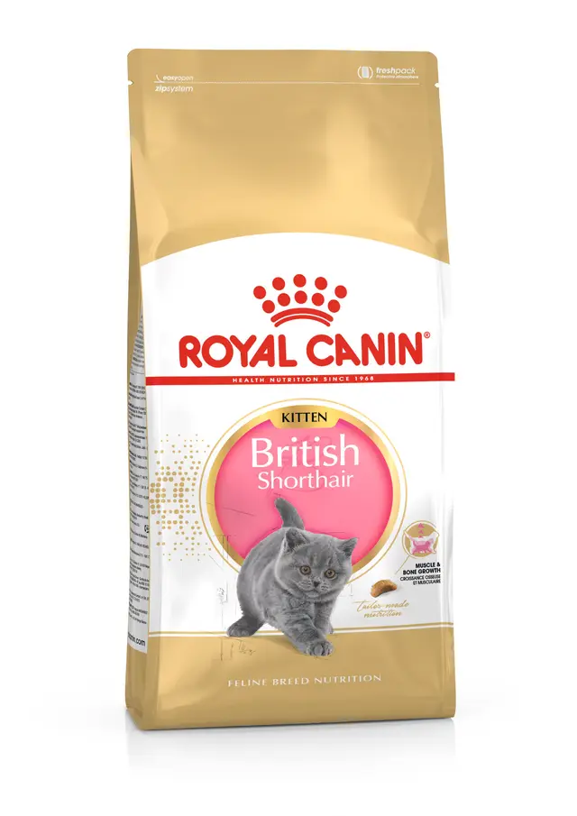 Royal Canin Feline British Shorthair Kitten