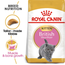 Royal Canin Feline British Shorthair Kitten
