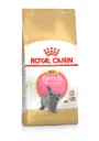 Royal Canin Feline British Shorthair Kitten