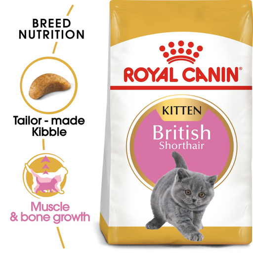 [3182550816533] Royal Canin Feline British Shorthair Kitten (٢  كيلوجرام)
