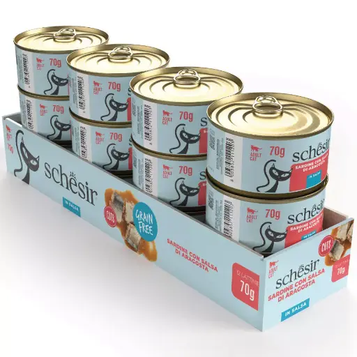 Schesir Can For Cat Sardine with Lobster in Sauce 70g (12  علبة)