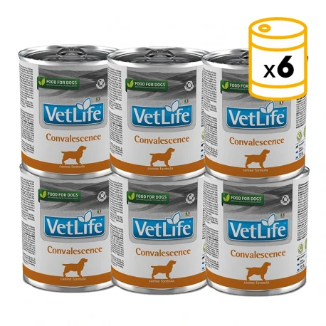 [8606014103922] Farmina VetLife Canine - Convalescence Canned 300g (6  علب)
