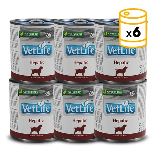[8606014106428] Farmina VetLife Canine - Hepatic Canned 300g (6  علب)