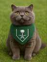 Pet Studio Green Collar Palm & Swords