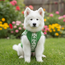 Pet Studio Embroidered Linen Shirt