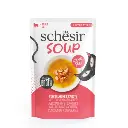 Schesir Pouch in Soup With Salmon and Carrot 40g 