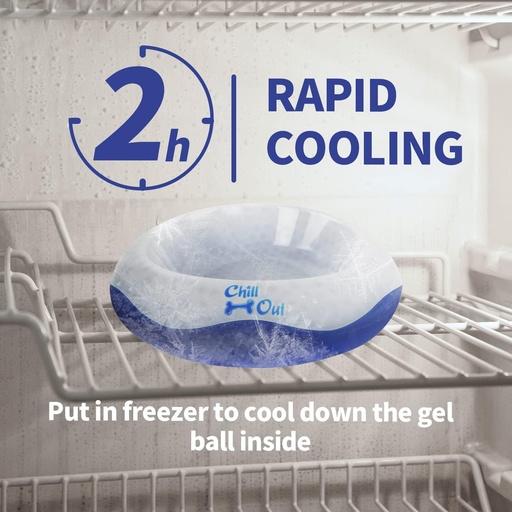 All For Paws Chill Out Cooler Bowl