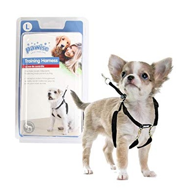Pawise Dog Training Harness