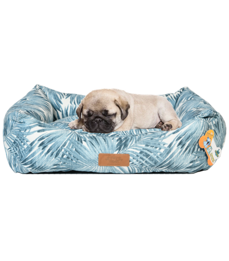 سلسلة ماكارون - نخلة من بت لوف إيرث