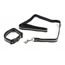 Pets.Love.Earth Reflective Collar and Lead