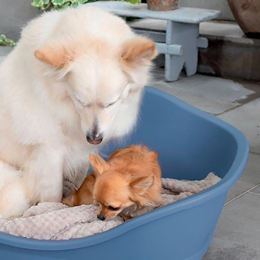 ستيفان بلاست سرير نوم رمادي حمام للكلاب المتوسطة إلى الكبيرة