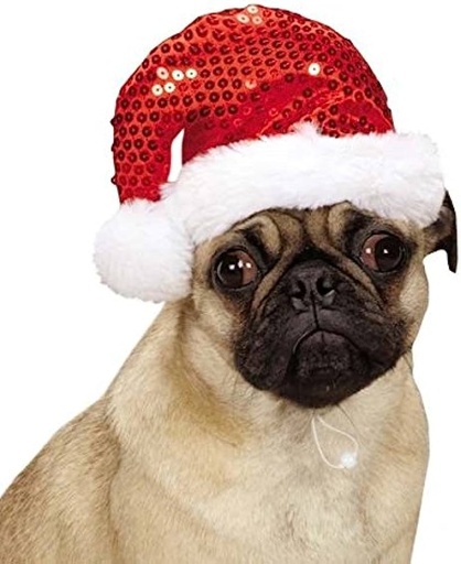 Aria Santa Sequin Hat