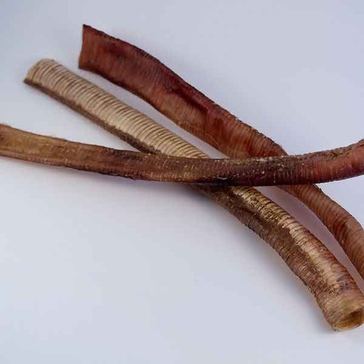 [6009696842999] Natural Protein Ostrich Chewy Windpipe 100g 1Pk