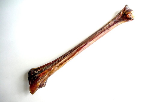 Natural Protein Ostrich Mini Cave Man Bone