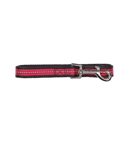 Pawise Dog Reflective Leash Red