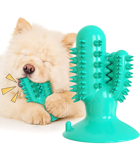 [5206819412897] Pet Interest Cactus Squeaker Dog Dental Chew Toy Yellow